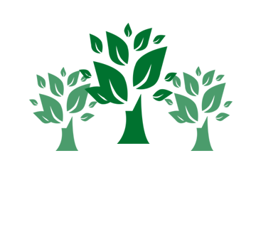 Paisagismo - Plantio de árvores